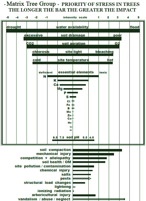 Soil-Aeration-Matrix-Tree-Group